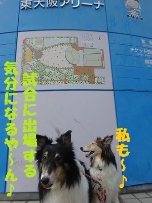 DSC03095