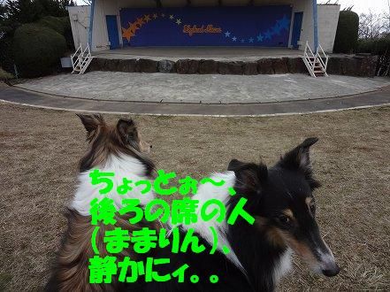 しゅせDSC07946