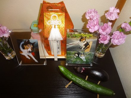 しゅせ使用DSC00346
