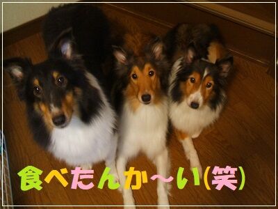 DSCF0565