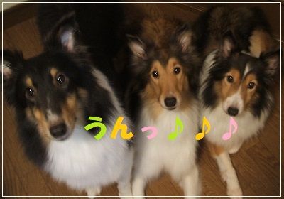 DSCF0565