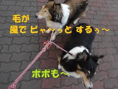 DSC01711