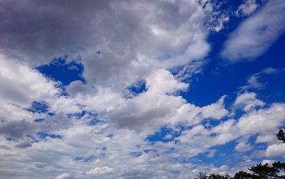 DSC_4375