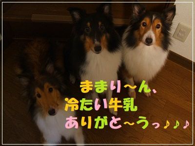 DSCF0541