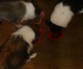 DSCF0889