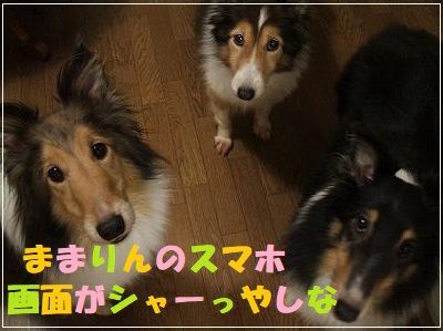 DSCF2455