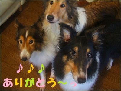 DSCF3510