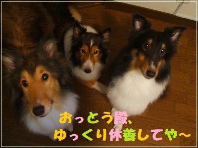 DSCF0570