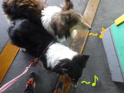 DSC01189