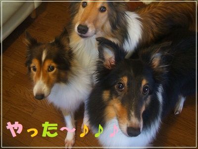 DSCF3510