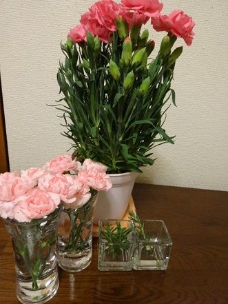 DSC00372