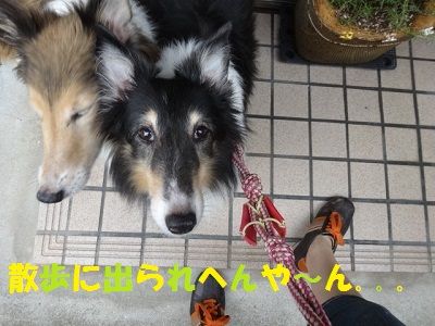 DSC07948
