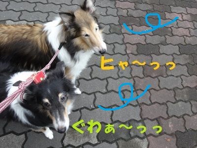 DSC07799