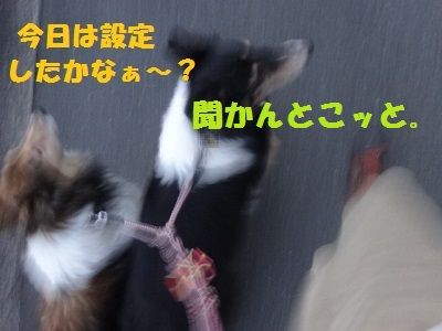 DSC01478
