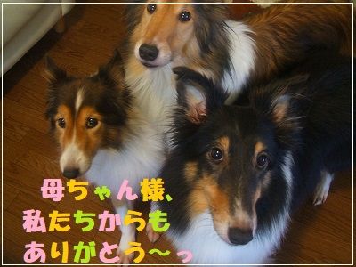 DSCF3510