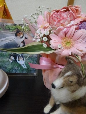 DSC09256