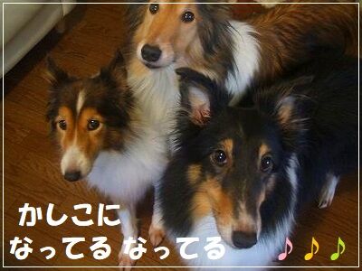 DSCF3510