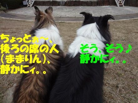 しゅせDSC07945