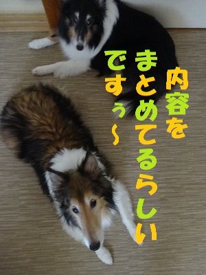 DSC00807