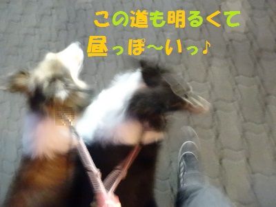 DSC01490