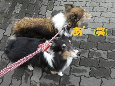 DSC07802