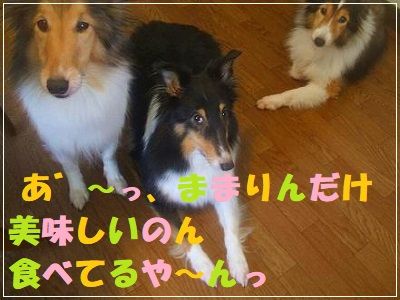 DSCF3251