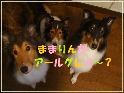 DSCF0570