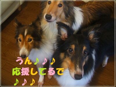 DSCF3510