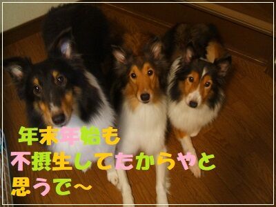 DSCF0565