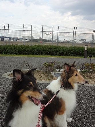 しゅせ使用DSC04448