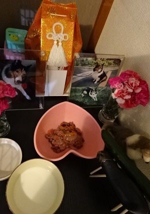 DSC00585