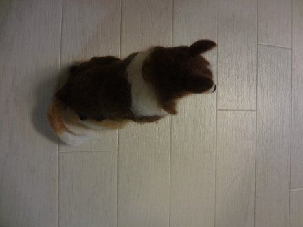 しゅせ使用DSC08970