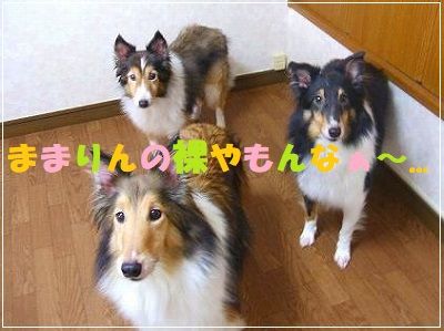 DSCF2543