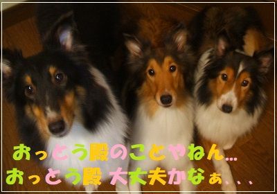 DSCF0565