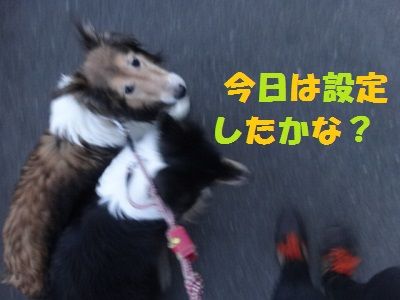 DSC01386