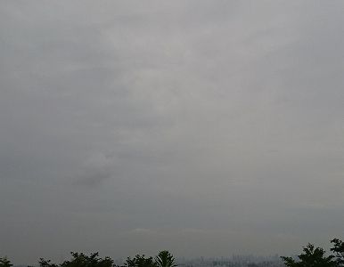 DSC_1491
