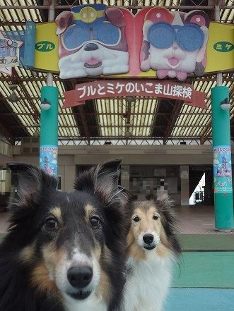 しゅせDSC07922