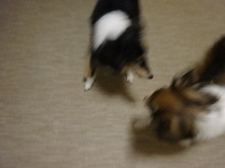 DSC09940