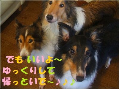 DSCF3510