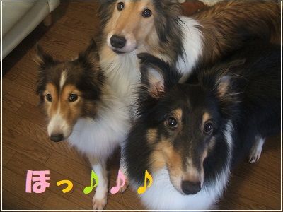 DSCF3510