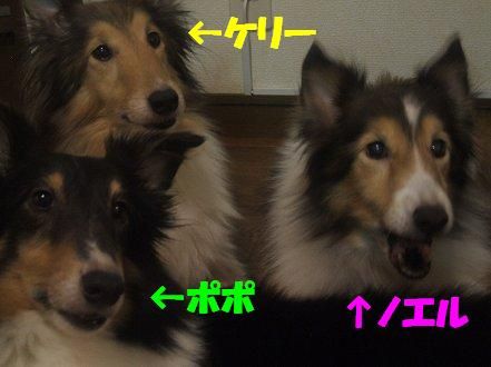 しゅせDSCF3772
