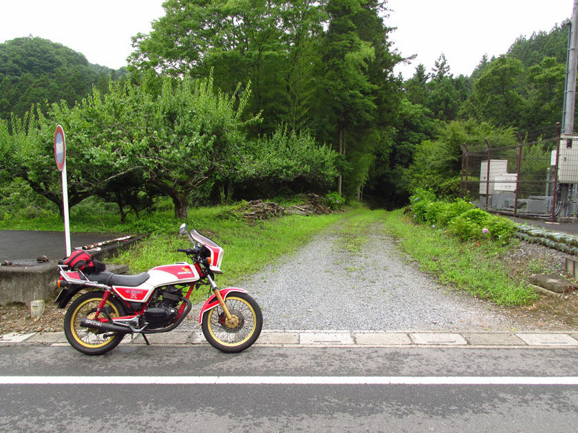 イメージ 18