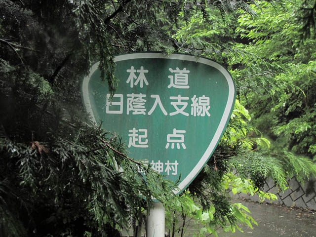 イメージ 30