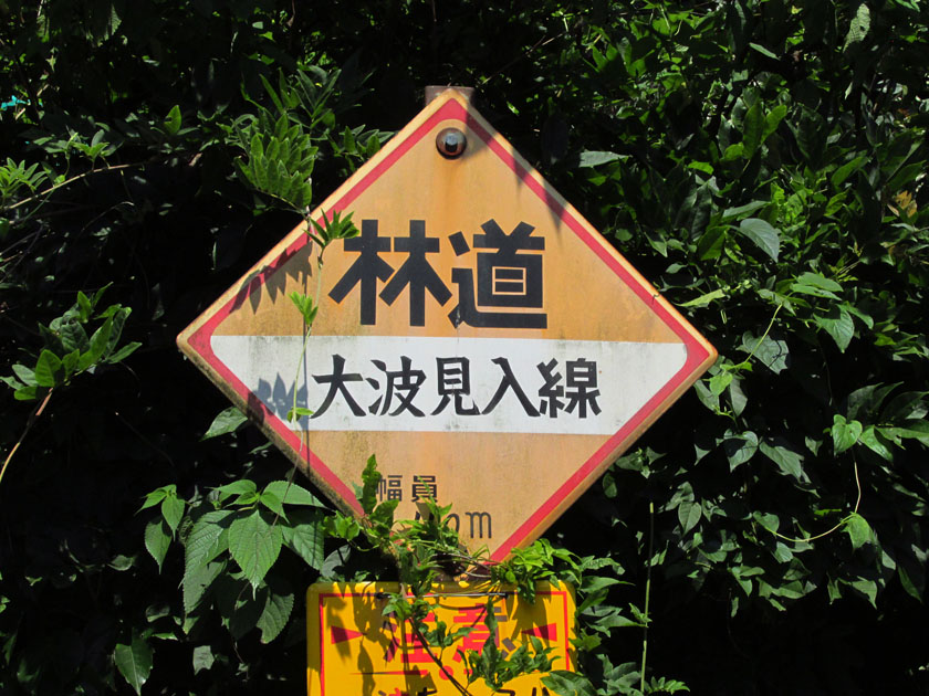 イメージ 7