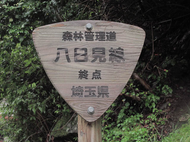 イメージ 40