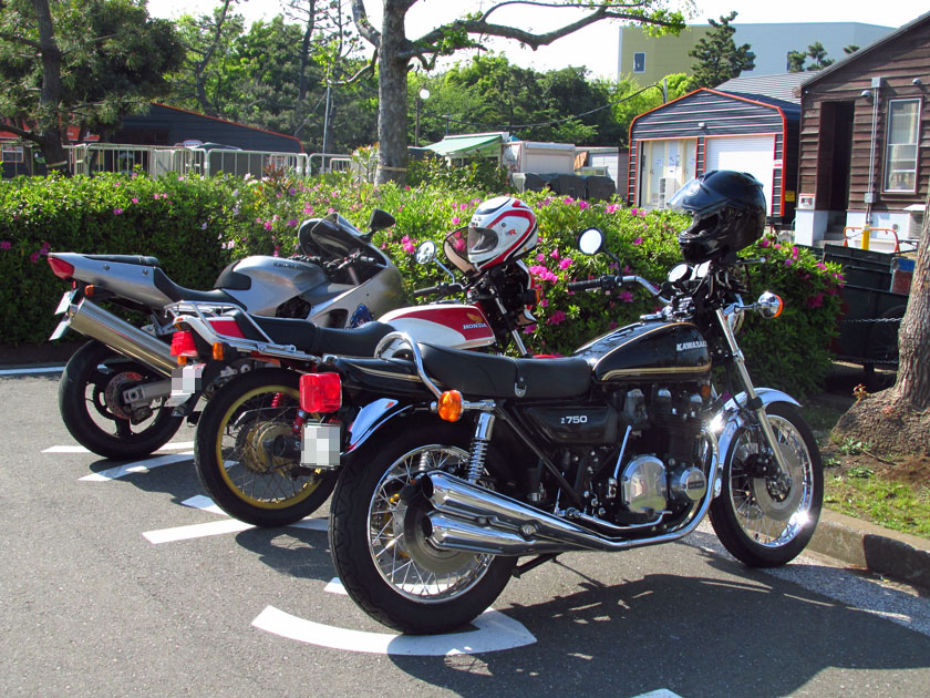 イメージ 13