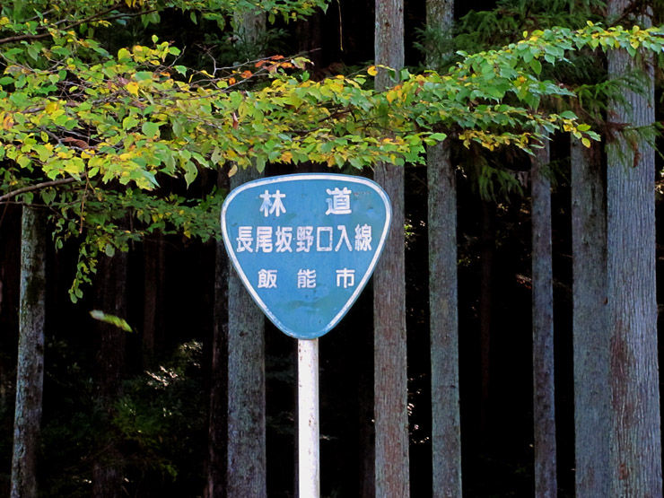 イメージ 6