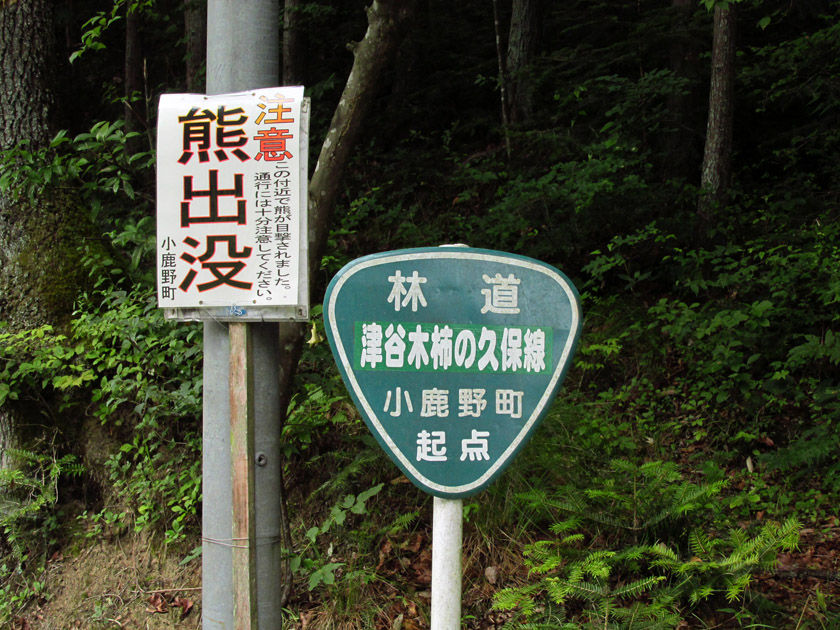イメージ 32