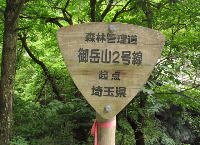 イメージ 50