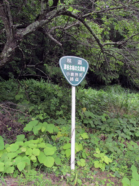 イメージ 7